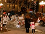 Parker Christmas carriage